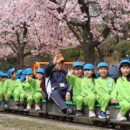 さくら草保育園 アーカイブ 2025/03